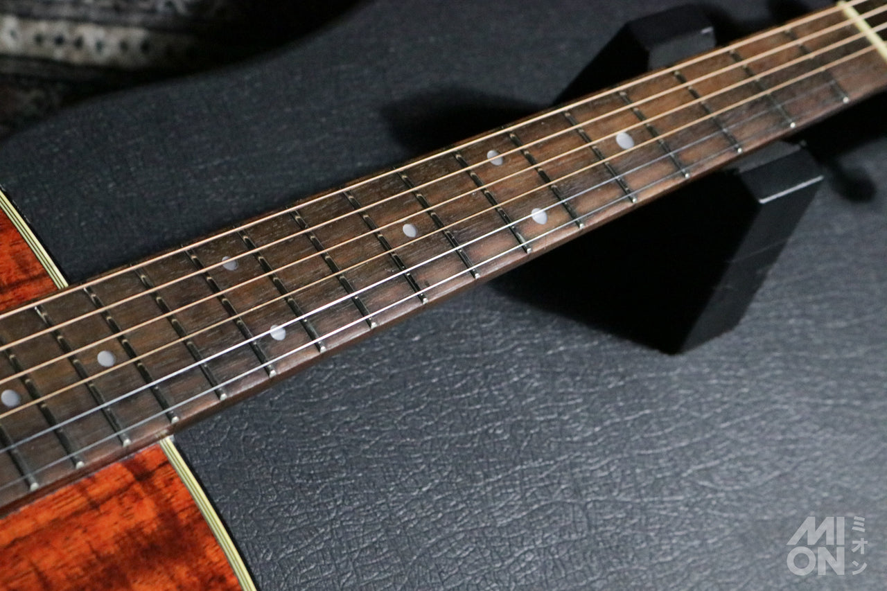 Takamine PT-207