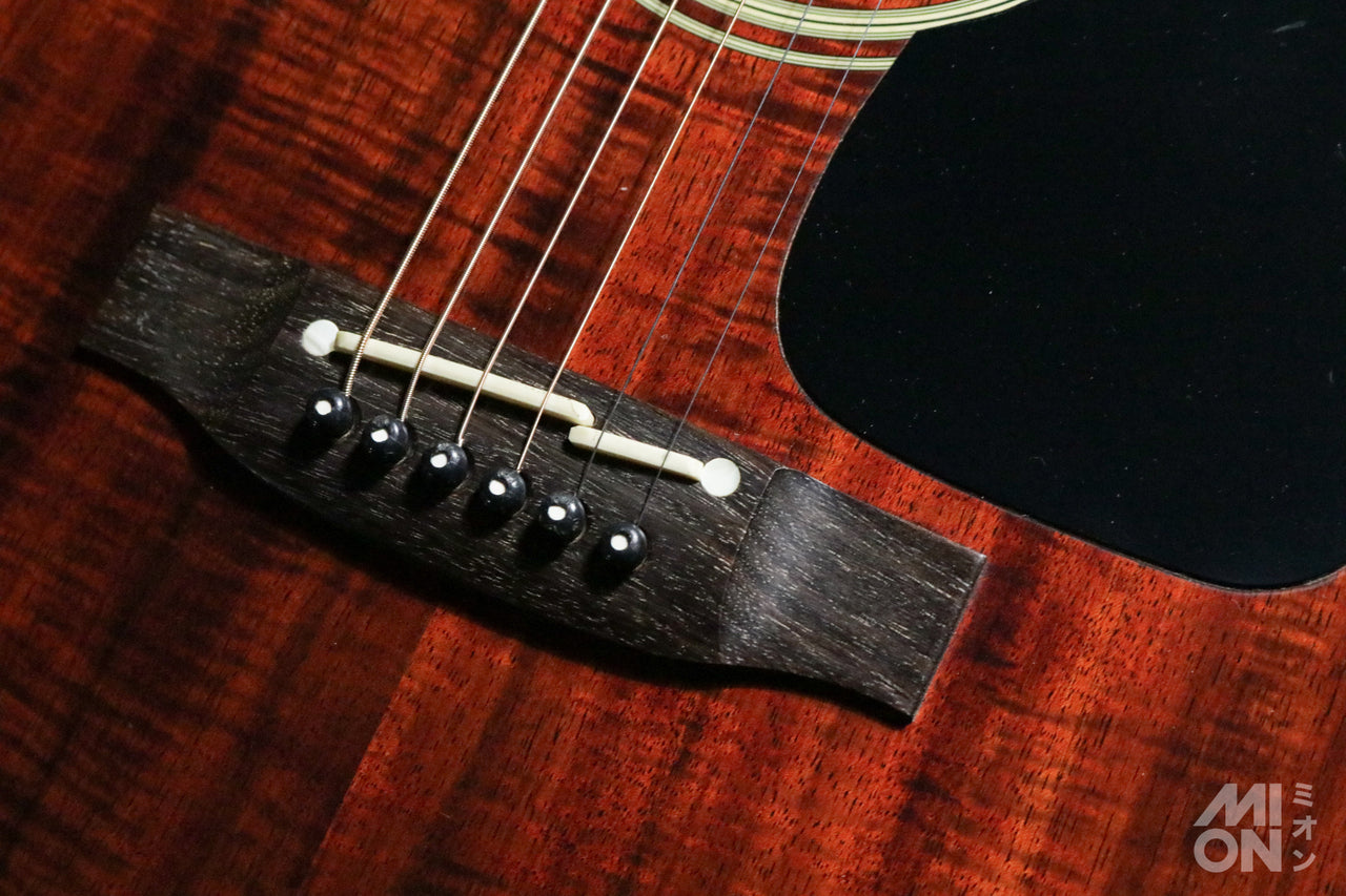Takamine PT-207
