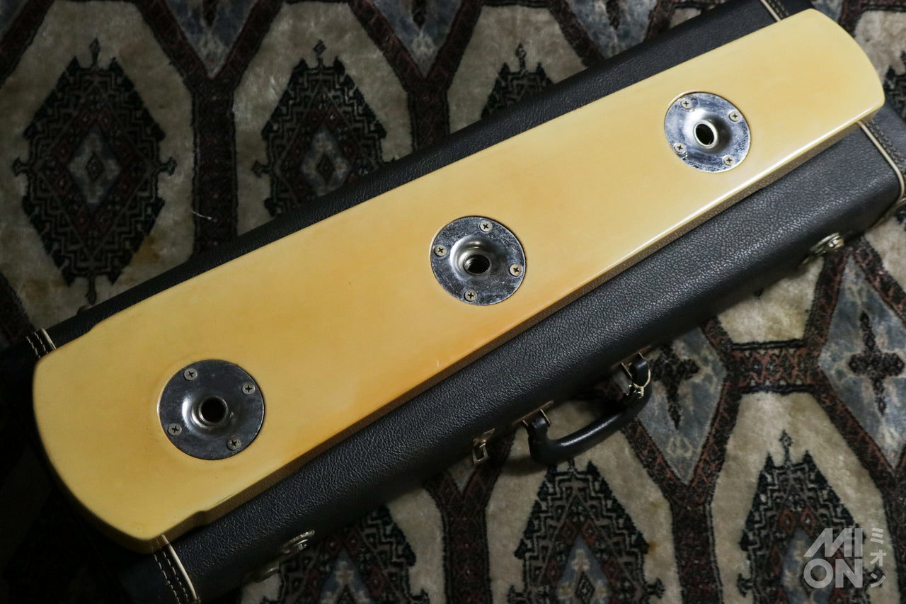 Fender Deluxe-6 1973 #2722