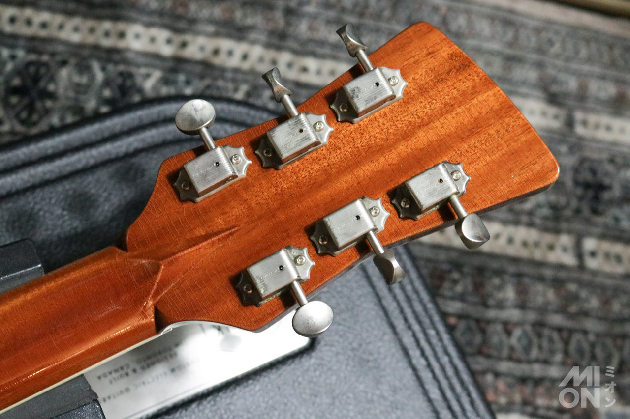 Frank Brothers [Tested video included] Arcade Thinline Sage Green 2025