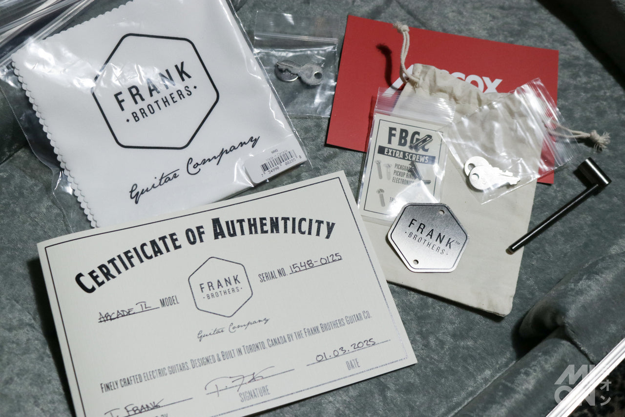 Frank Brothers [Tested video included] Arcade Thinline Sage Green 2025