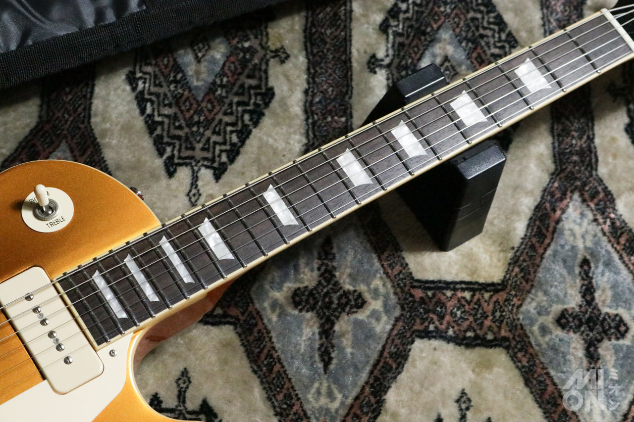 EDWARDS E-LP-STD/P Gold Top