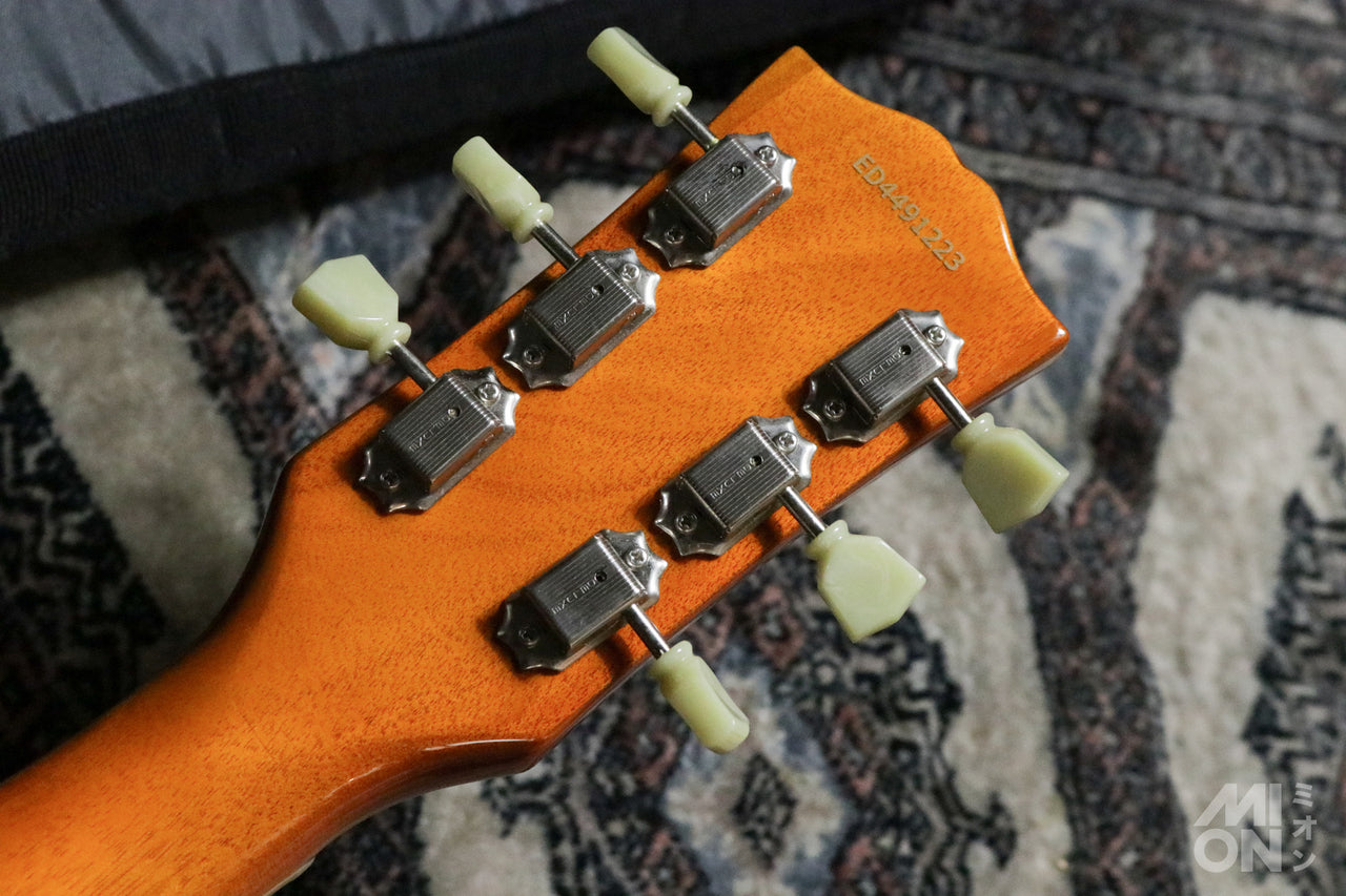 EDWARDS E-LP-STD/P Gold Top