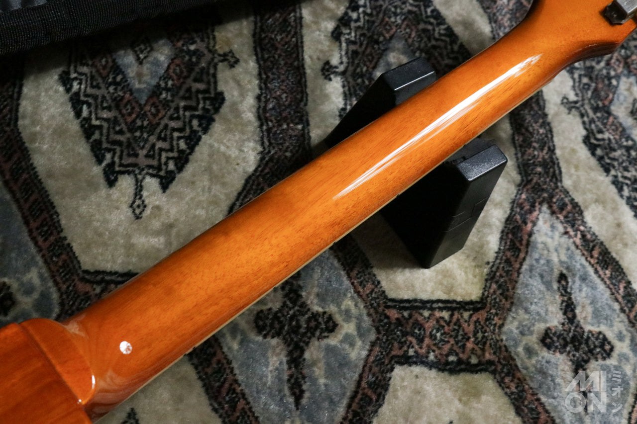 EDWARDS E-LP-STD/P Gold Top