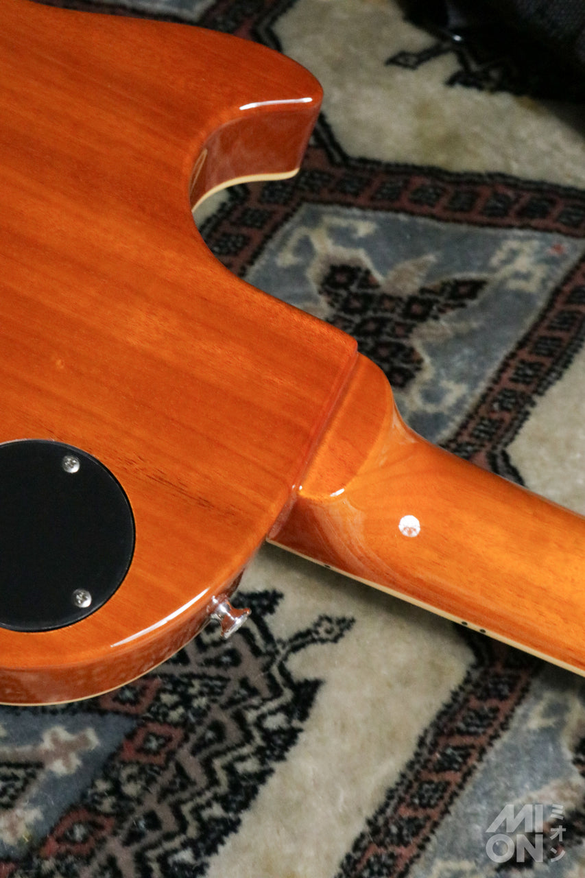 EDWARDS E-LP-STD/P Gold Top