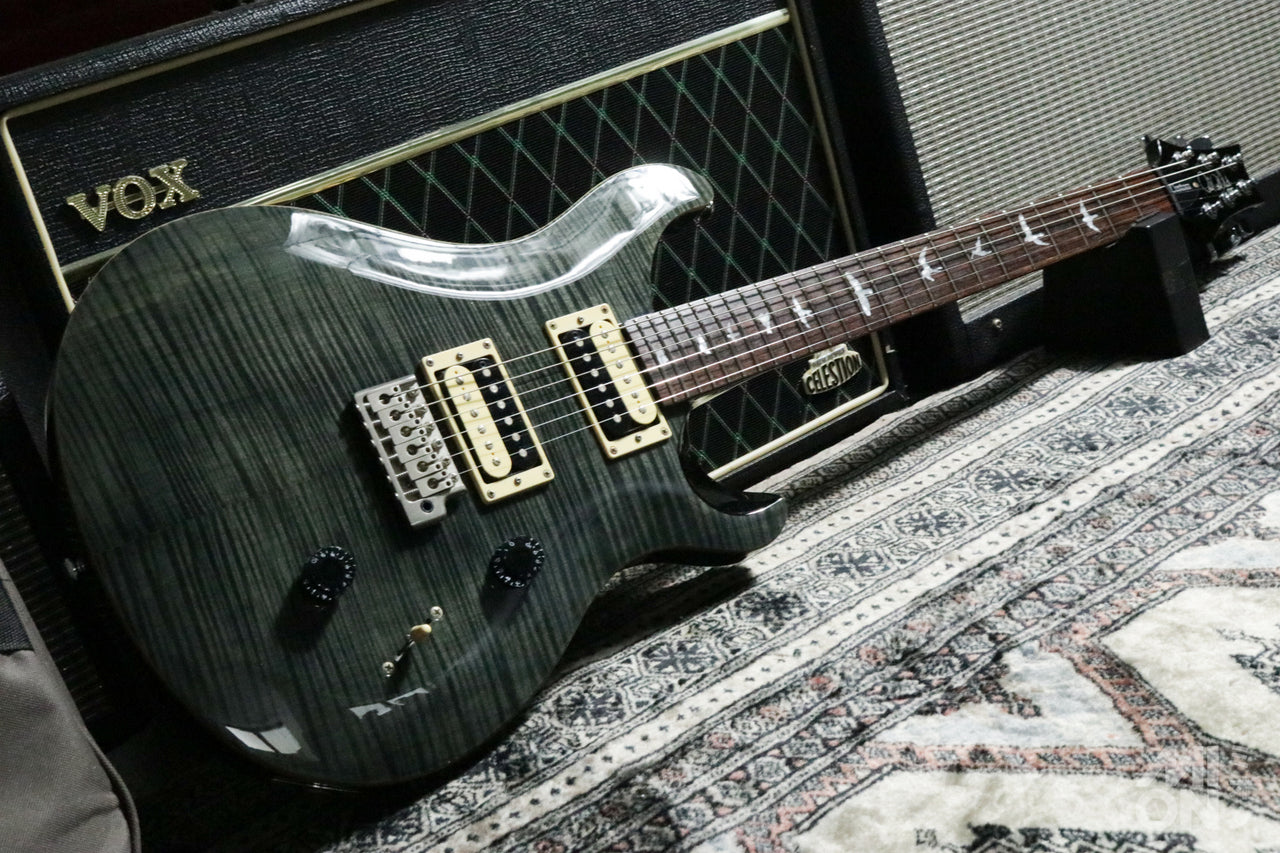 Paul Reed Smith(PRS) SE Custom24 2017 Gray Black