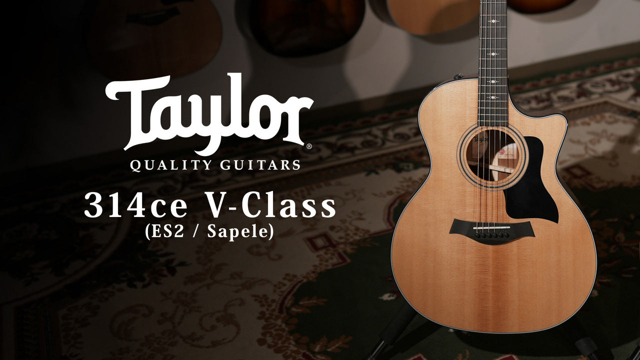 Taylor [Trial video available] 314ce V-Class [Taylor-authorized repair man staffed store]