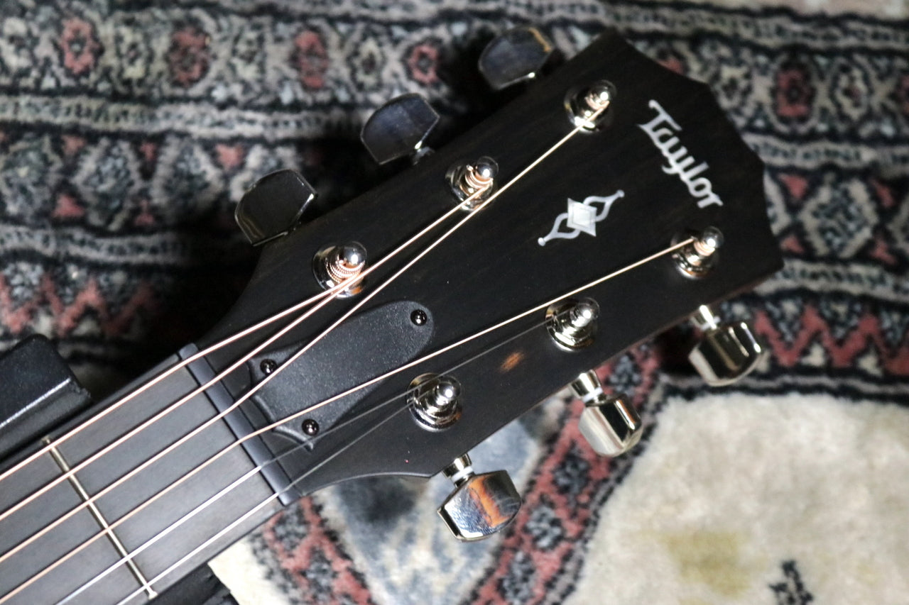 Taylor [Trial video available] 314ce V-Class [Taylor-authorized repair man staffed store]