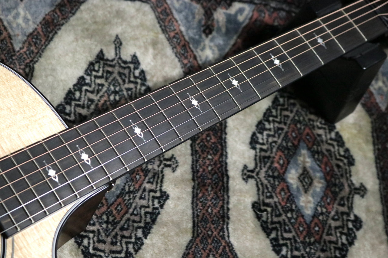 Taylor [Trial video available] 314ce V-Class [Taylor-authorized repair man staffed store]