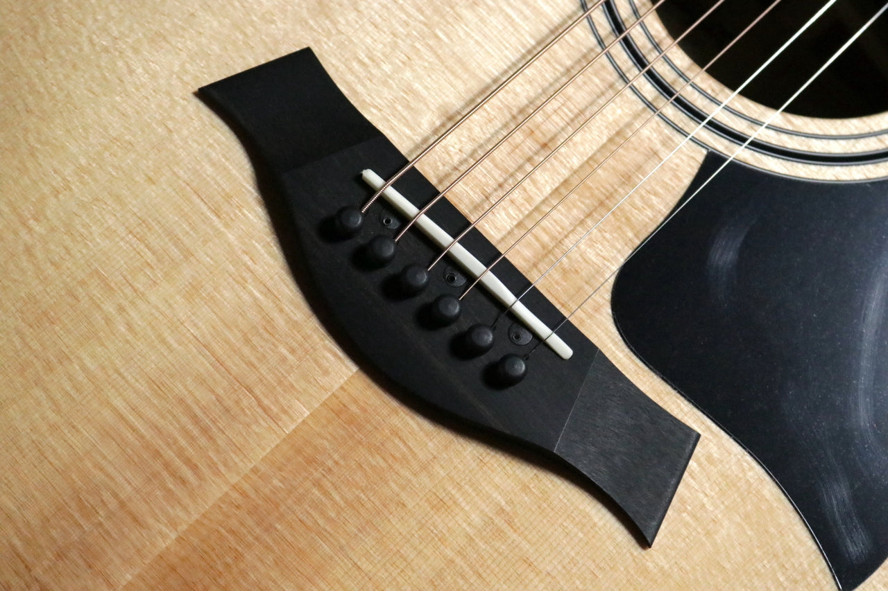 Taylor [Trial video available] 314ce V-Class [Taylor-authorized repair man staffed store]
