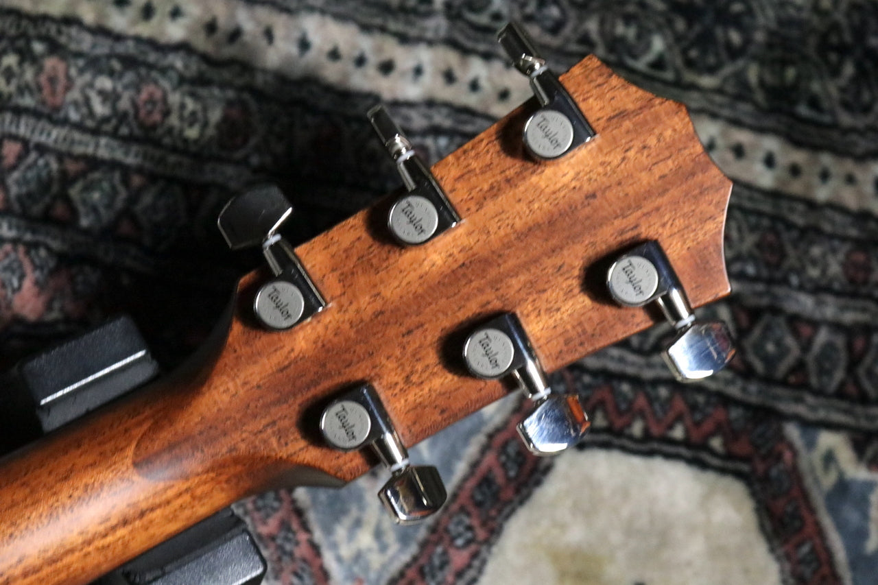 Taylor [Trial video available] 314ce V-Class [Taylor-authorized repair man staffed store]