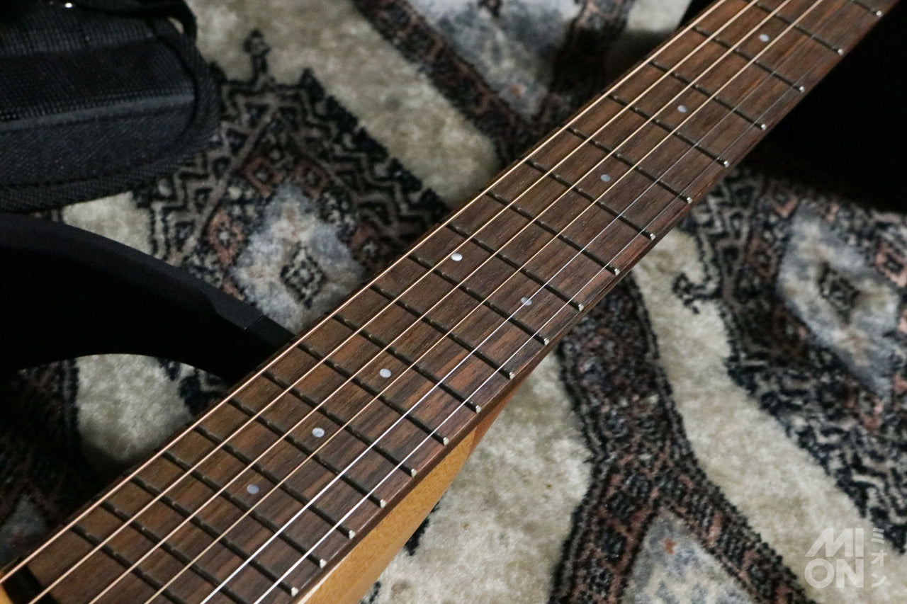 YAMAHA SLG100S (silent guitar)