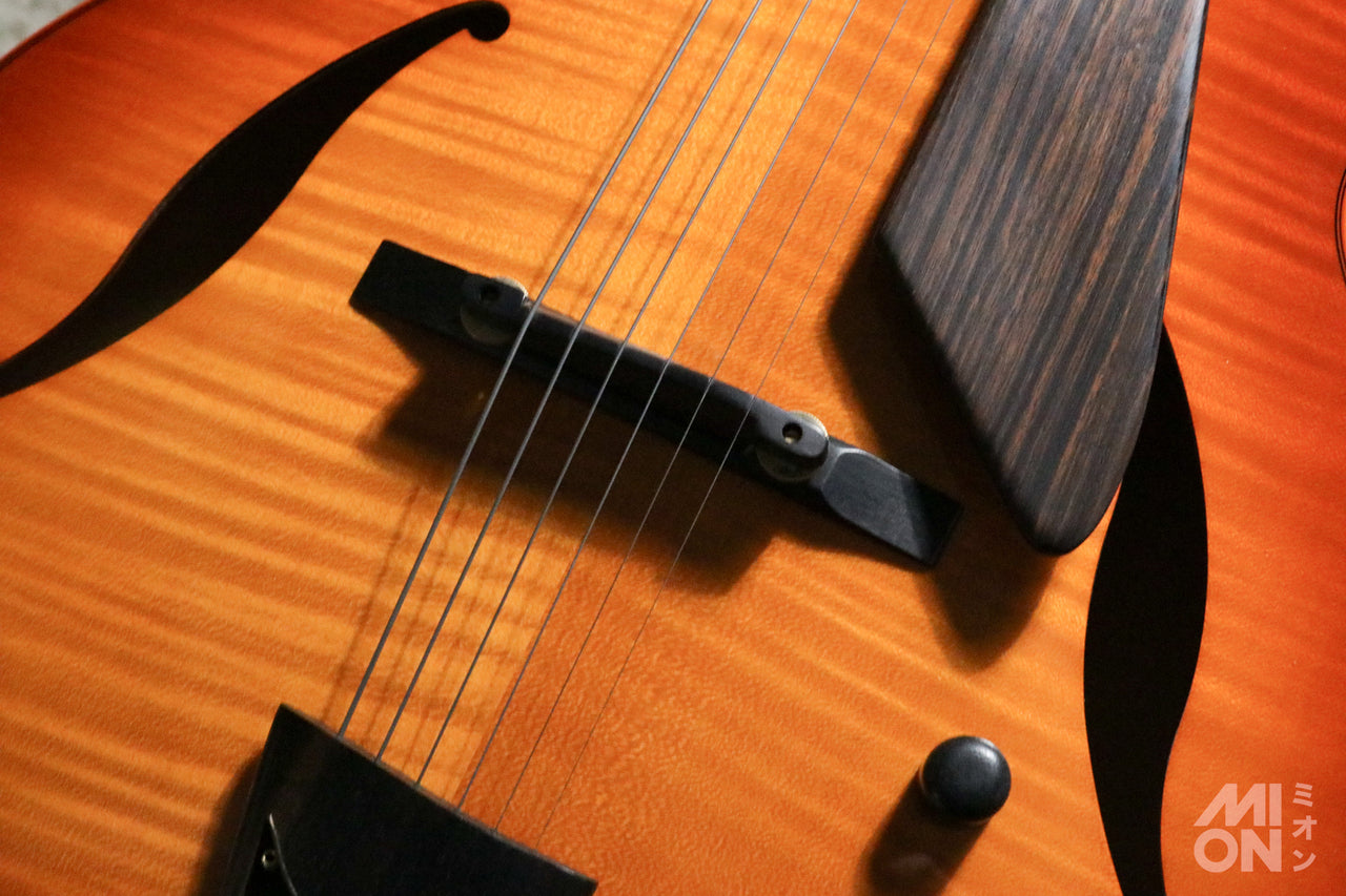 D'Aquisto DQ-JZ -Jazz Line- VLB (Violin Burst)