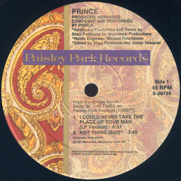 I Could Never Take The Place Of Your Man