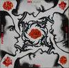 Red Hot Chili Peppers - Blood Sugar Sex Magik (2xVinyl, LP, Album, Stereo) Good Plus (G+) / Poor (P)