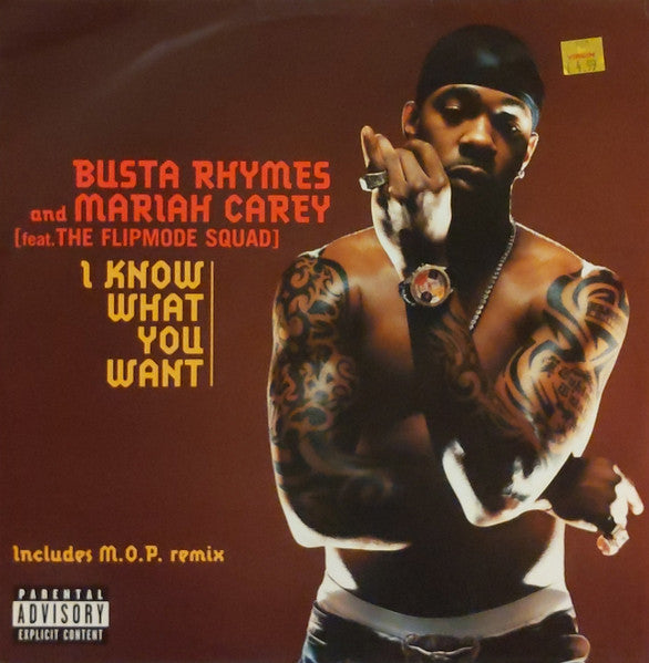 Master Release: I Know What You Want by Busta Rhymes