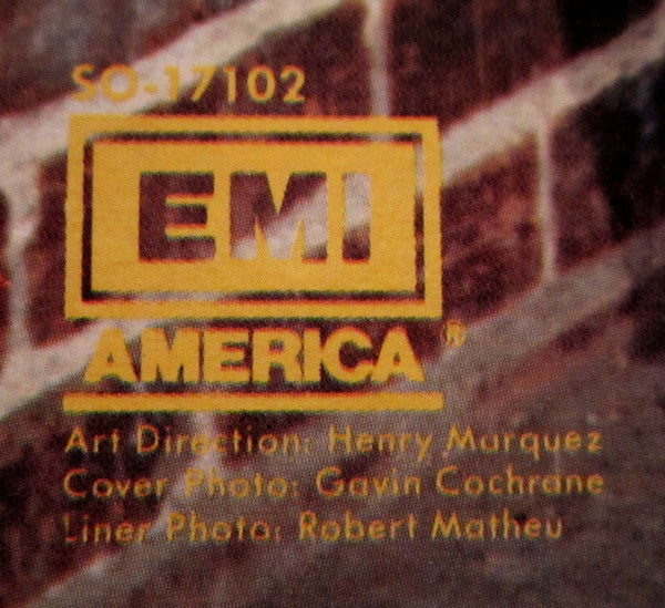 Rant N' Rave With The Stray Cats