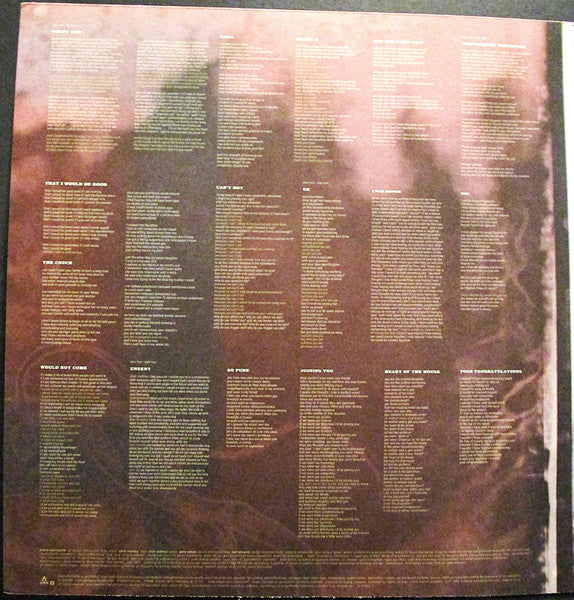 Release: Supposed Former Infatuation Junkie-Vinyl-US-1998-9 47094-1, 9 47094-1-681822