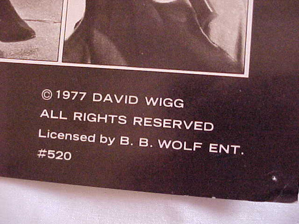 The Beatles Tapes From The David Wigg Interviews