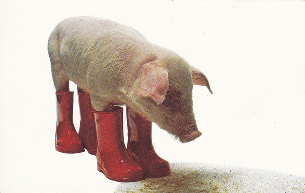 Pink Pork