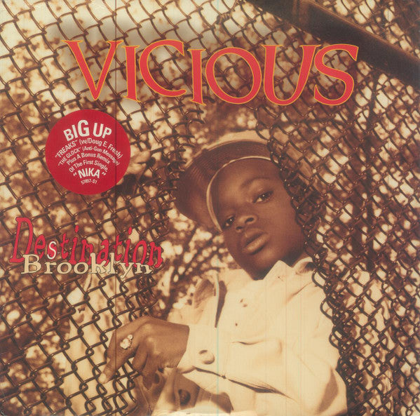 Master Release: Destination Brooklyn by Lil' Vicious