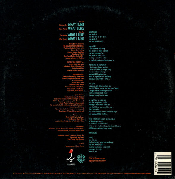 Master Release: What I Like by Anthony And The Camp