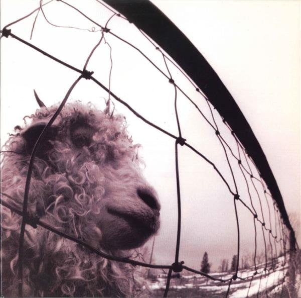 Master Release: Vs. by Pearl Jam