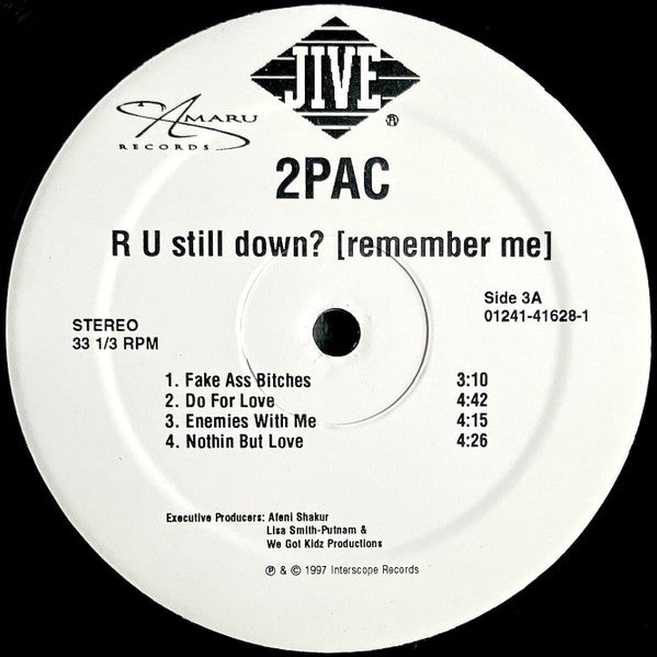 R U Still Down? [Remember Me]