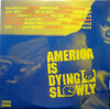 Various - America Is Dying Slowly (2xVinyl, LP, Compilation, Stereo) Very Good (VG) / Very Good (VG)