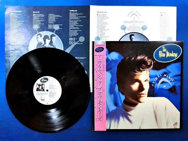Master Release: Animal Magic by The Blow Monkeys