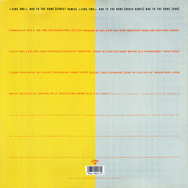 Master Release: Bad To The Bone by Kool G Rap & D.J. Polo