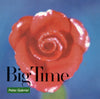 Peter Gabriel - Big Time (12