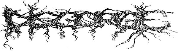 Disgorge (2)