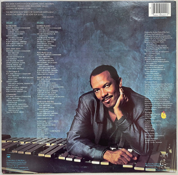 Master Release: In The Dark by Roy Ayers
