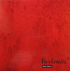 Peter Gabriel - Red Rain (12