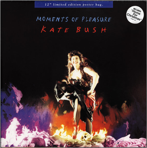 Master Release: Moments Of Pleasure by Kate Bush