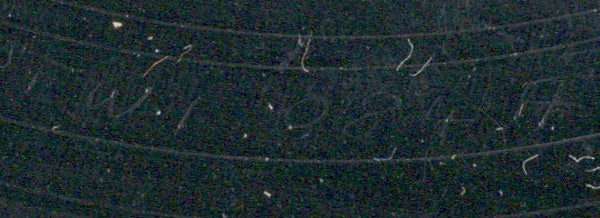 Time To Lose - Blind