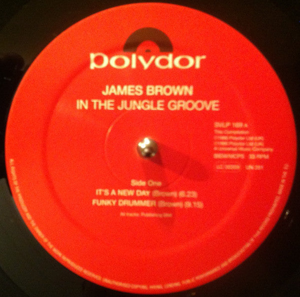 In The Jungle Groove