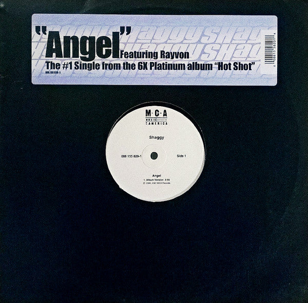 Master Release: Angel by Shaggy