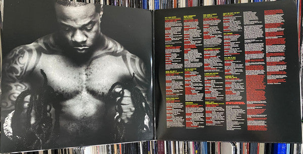 Master Release: The Big Bang by Busta Rhymes