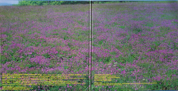 Release: Recycled A-Vinyl-Japan-1998-SYUM 0045/0046-174761