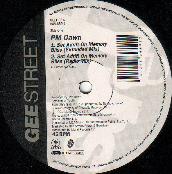 Set Adrift On Memory Bliss