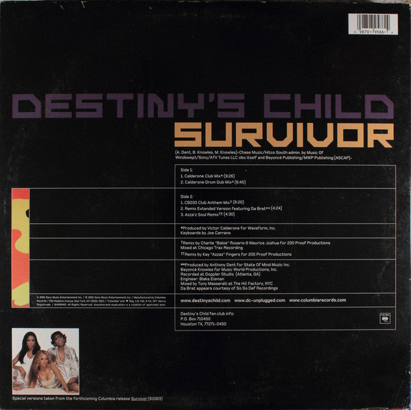 Master Release: Survivor by Destiny's Child
