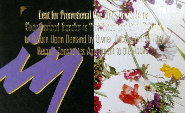 Purple Rain