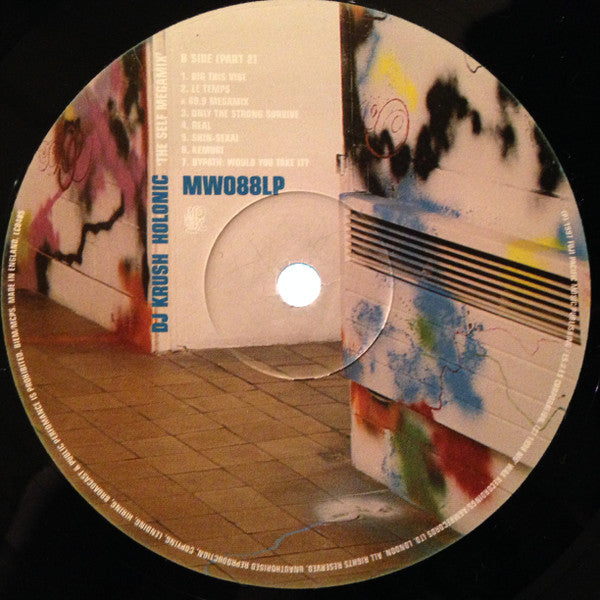 Holonic 'The Self Megamix'