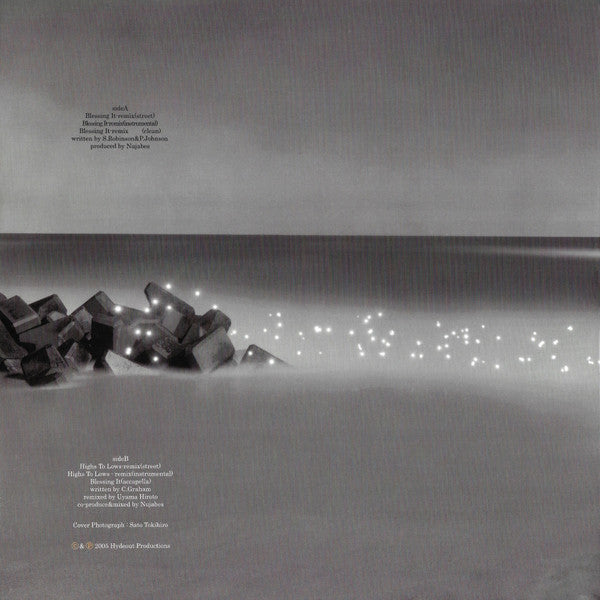 Release: Unknown Release-Vinyl-Japan-2005-HOR-042-732688