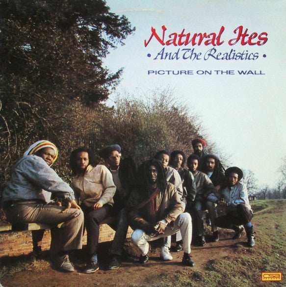 Master Release: Picture On The Wall by Natural Ites