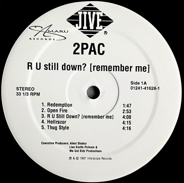 R U Still Down? [Remember Me]