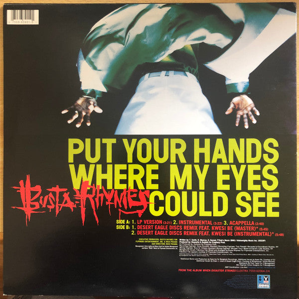 Master Release: Put Your Hands Where My Eyes Could See by Busta Rhymes