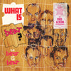 The Beat (2) - What Is Beat? (2xLP, Album, Compilation) - Good Plus (G+) / Very Good Plus (VG+)